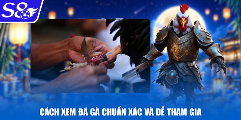 Cách xem đá gà chuẩn xác và dễ tham gia