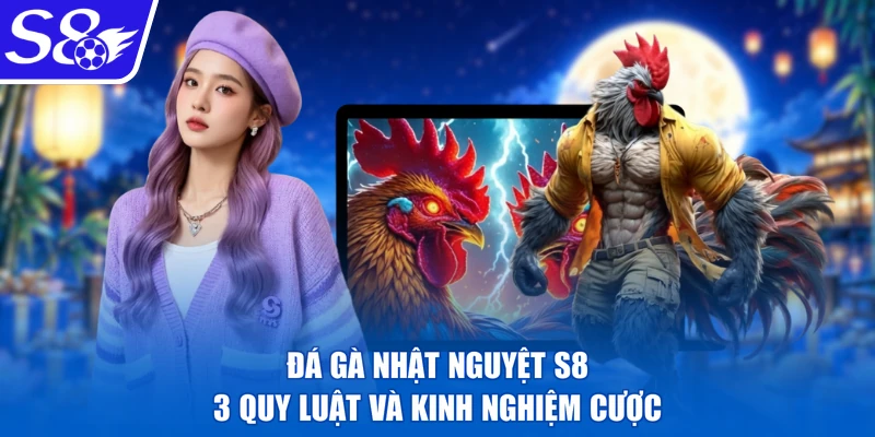 Đá Gà Nhật Nguyệt S8 - 3 Quy Luật Và Kinh Nghiệm Cược