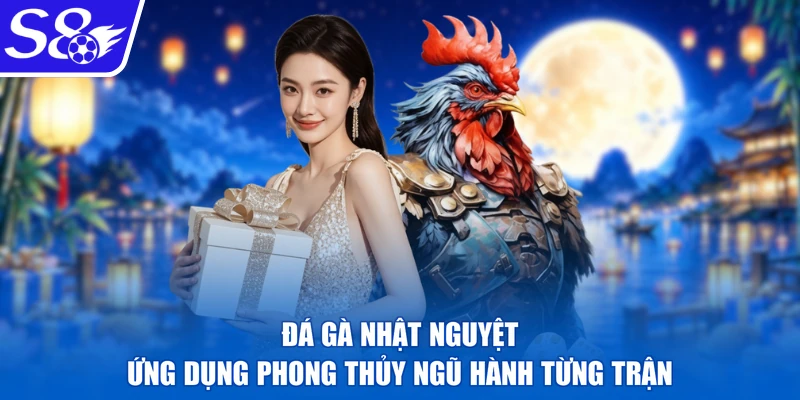 Đá gà nhật nguyệt ứng dụng phong thủy ngũ hành từng trận