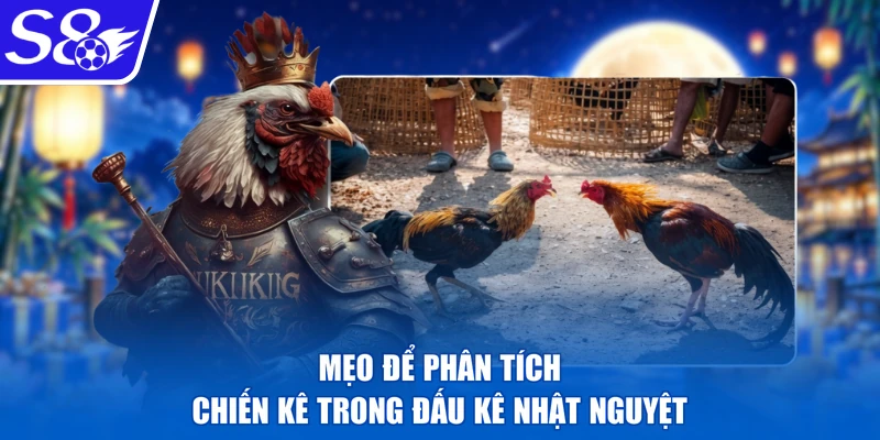 Mẹo để phân tích chiến kê trong đấu kê nhật nguyệt